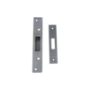 Polished Stainless Steel