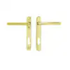 Hardex Gold