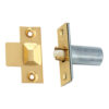 Adjustable Roller Catch - Nylon Body 39 X 19mm Each