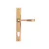 Polished Bronze
