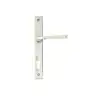 Polished Nickel