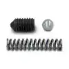 Case Spring & Ballbearing Kit