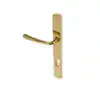 PVD Stainless Polished Brass