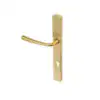 PVD Stainless Satin Brass