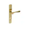 PVD Stainless Polished Brass