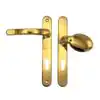 Polished Brass