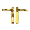 Polished Brass