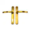Polished Brass