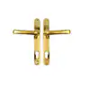 Polished Gold Stainless