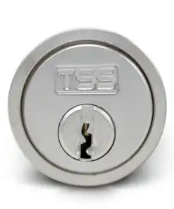 Screw In Cylinder (Pair)