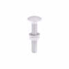 Dome Head Carriage Bolt - M8 Gauage