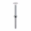 Carriage Bolt & Hex Nut