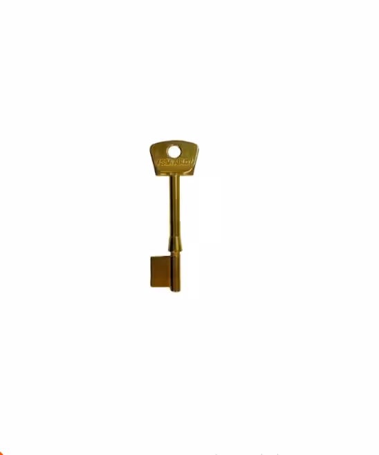 3G110 Genuine Mortice Key Blank