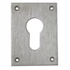 Large Euro Screw On Escutcheon