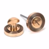 Polished Bronze