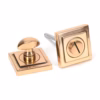 Polished Bronze