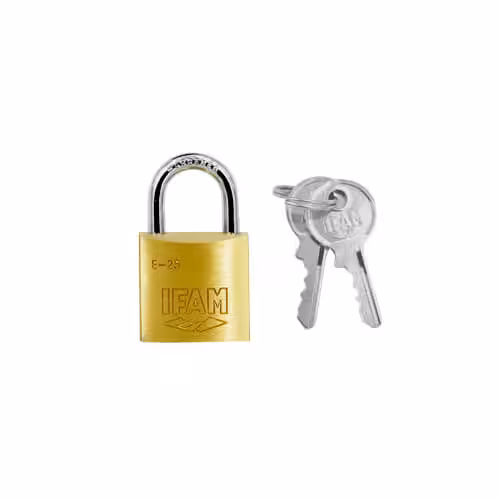 E Series 25mm Open Shackle Brass Padlock
