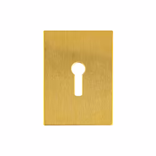 Large UK Stick On Escutcheon