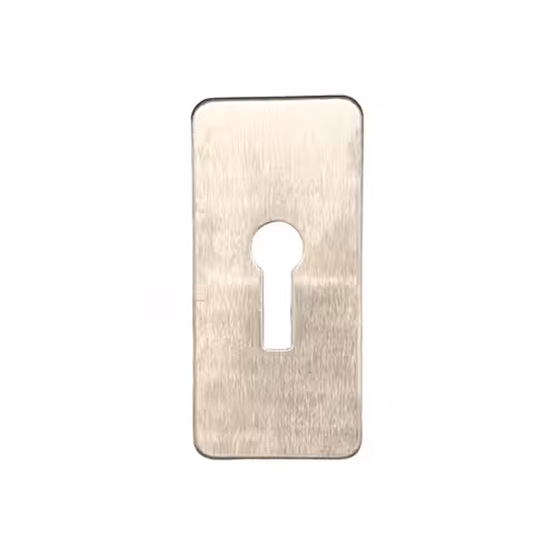 Satin Stainless