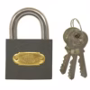 50mm Iron Padlock - Open Shackle