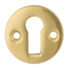 Victorian UK Open Escutcheon