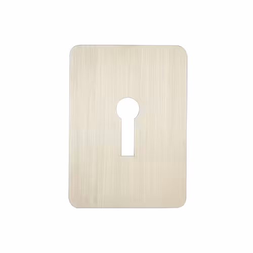 Satin Stainless Steel